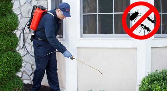 Bozdoğan Böcek İlaçlama böcek ilaçlama ve haşere kontrolü — ilaclama-tr.com